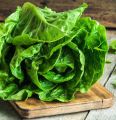 LETTUCE SEED VARIETY/GREEN RAPID/ROMAINE/ICEBERG/MIA RED/AVA RED/KAYLA RED/BLACK ROSE/ HIGH QUALITY SEEDS/HIGHER GERMINATION RATE. 