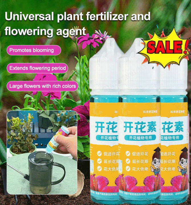 bingben01 Plant generalpurpose fast flowering element flowerpromoting