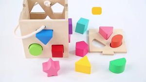 READY STOCKWooden Educational Toys Wooden Blocks Matching Toy Kids Early Learning Montessori Building Blocks Shapes