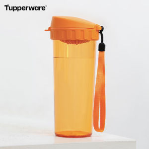 Tupperware 500ml H2GO Tumbler Water Bottle Tea-Y Collection Leak-Proof Portable with Tea Strainer