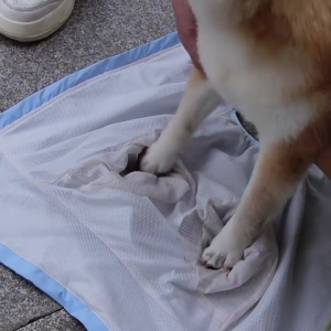 Waterproof Hooded Dog Raincoat with Detachable Hoods Adjustable Pet Rain Jackets For Small to Large Dog Outdoor Activity