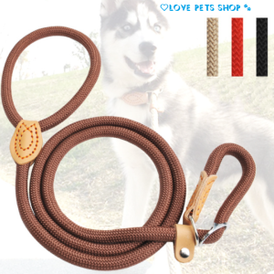 Dây dắt Chó Mèo kiêm vòng cổ hình chữ P tiện lợi - Love Pets Shop