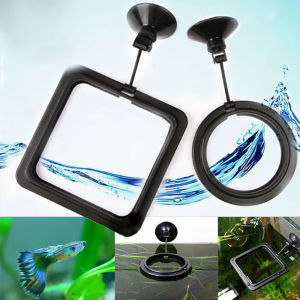 OUTOPEN Round Square With Suction Cup Food Tray Feeder Pet Supplies Floating Station Fish Feeder Feeding Ring Buoyancy Circle