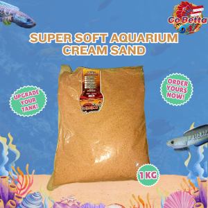 🇸🇬 GOBETTA Aquarium Sand Aquascape Premium Super Fine Cream Sand Natural Substrate for Betta Enthusiasts Shrimp Tank Paludarium Biotope Bali Style Aquascape Pasir Malang TIA Nut Moza Blend for Plant Growth Clean Water Aesthetic Aquatic Landscaping