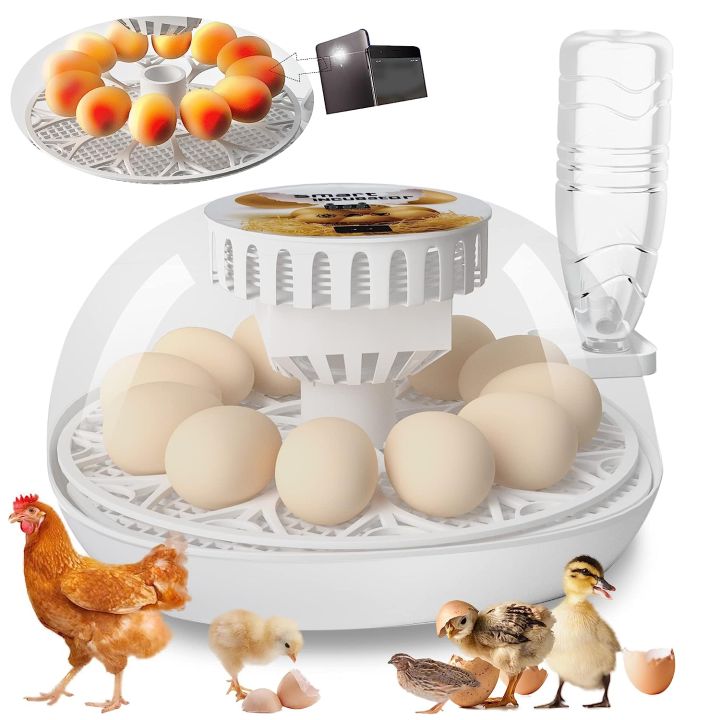 Lreerge Egg Incubator, 12 Eggs Incubator with Automatic Egg Turning ...
