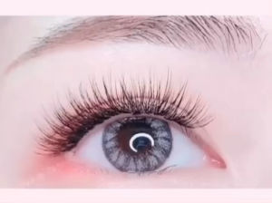 สินค้าพร้อมส่ง ขนตาบางเบาธรรมชาติแบบช่อเหมาะสำหรับต่อเองขนตาปลอมธรรมชาติขนตาขนตาปลอมขนตาถาวรชุดต่อขนตา