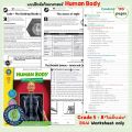 แบบฝึกหัดวิทยาศาสตร์ Science Worksheet with Answer Keys : BIG BOOK HUMAN BODY for Grade 5-8. 