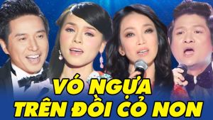 MP3-CD Dân Ca Tuyển Chọn 94 Bài Hát Lossless ( Hát trên xe ô tô hay đầu Đĩa gia đình có hỗ trợ MP3)