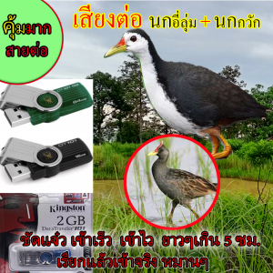 เสียงต่อ เสียงร้อง นกกวัก นกอี่ลุ่ม ตูม รวม 2 เสียงร้อง ใน 1แฟลไดร์ เสียงยาวๆ เสียงละ 5 ซม ไม่มีฆษณา