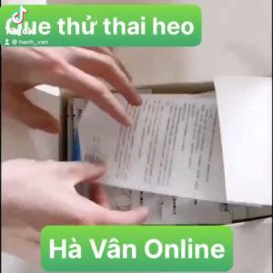 Que thử thai bò heo chuẩn đoán nhanh chính xác cao