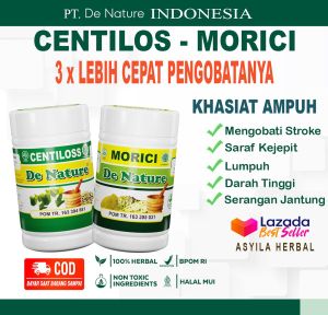 Obat Herbal Centilos Morici Habatop Atasi Cepat Obat Stroke Sebalah kiri kanan ringan dan berat Lumpuh Saraf Kejepit badan mati separo susah gerak