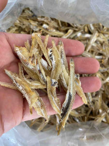 Ikan Bilis Kopek local product