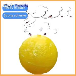 [Clark Carrida] Dính Bẫy Bay Côn Trùng Bẫy Bóng Hiệu Quả Fly Catcher Kẻ Giết Người Trái Cây Fly Kẻ Giết Người Cho Các Nhà Máy Bắt Trái Cây Côn Trùng