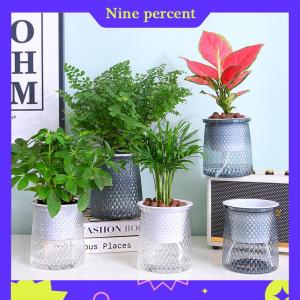 Nine percent Double-layer Self Watering Plant Pot Transparent Plastic Flower Vase Automatic Lazy Potted Flower Pot Hydroponic Flowerpot Decor