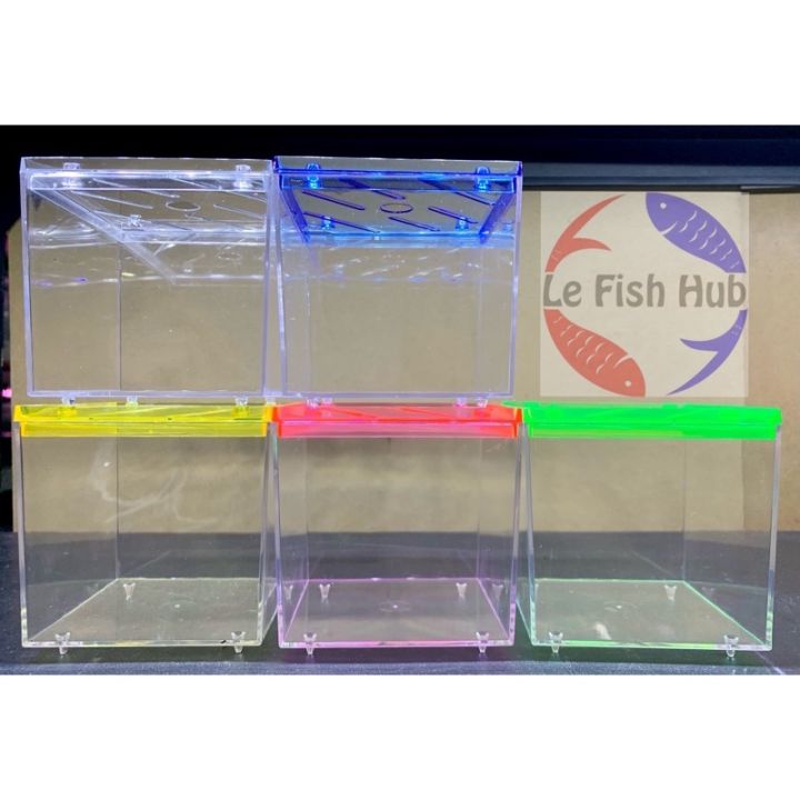 CLASSICA BETTA CUBE FISH TANK 8*8CM AQUARIUM | Lazada