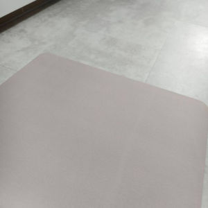 ALEXTEO Non Slip Quick Dry Bathroom Mat Fast Water Absorption Anti Slip Mat Toilet