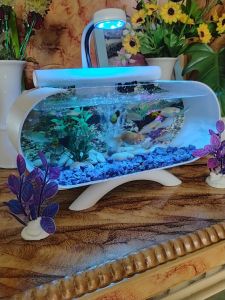 1 Set lengkap Aquarium Mini akrilik Lengkap Dengan mesin Oxygn Filter sirkulasi air mancur Plus Batu bunga Hias & Lampu LED tinggal pakai (B01)