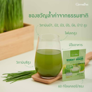 ส่งฟรี #ใบอ่อนข้าวสาลี ต้นอ่อนข้าวสาลี อินนูลิน ใยอาหารสูง ระบบขับถ่าย เครื่องดื่ม วีทกราส ชนิดผง กิฟฟารีน อร่อย ดื่มง่าย Giffarine Wheat Grass