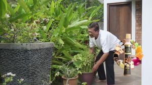 VASIA PATI HALIA XTRA - Buang Angin Rendah Kolestral