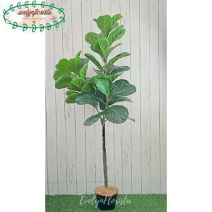 Tanaman Artificial Pohon Ketapang X3 T140 Latex Pot Dasar Hitam Hiasan Sudut Caffe