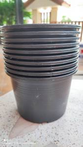 กระถาง 6 นิ้ว แพ็ค 10 ใบ สินค้าพร้อมจัดส่ง