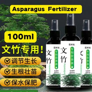 文竹营养液 文竹专用肥  Asparagus special fertilizer Special Fertilizer for Asparagus Bamboo Baja Asparagus