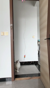 Electric Stimulating Cats Swing Toy Hanging Design With Bells Feathered Attachment Plastic Elastic Cord Anxiety Relief