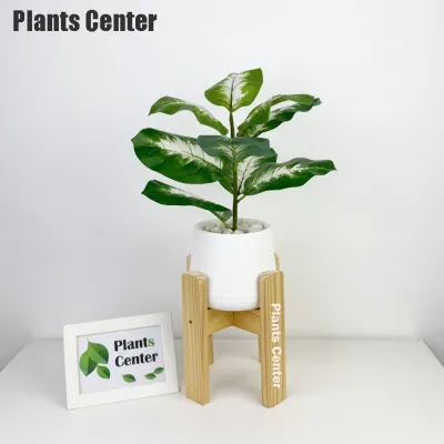 Plants Center ต้นไม้ปลอม 9ใบ สูง 45-55ซม รวมไม้ยอดนิยม ไม้มงคล ตกแต่งบ้าน แต่งสวน P008