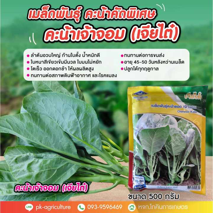 เมล็ดพันธุ์คะน้าเจ้าจอม เจียไต๋ 500 กรัม เพิ่มผลผลิต