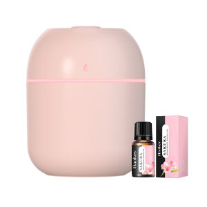 Mini Humidifier with Essential Oil Set Air Purifier Aroma Diffuser Humidifer Cotton Filter Humidifier for Aroma Humidify