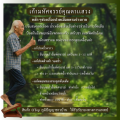 🪵ไม้สักทอง🪵บานพับสแตนเลสอย่างดี#เก้าอี้มหัศจรรย์คุณตาแสวง แท่นยืนยืดเส้น แท่นยืนสุขภาพ แก้ปวด. 