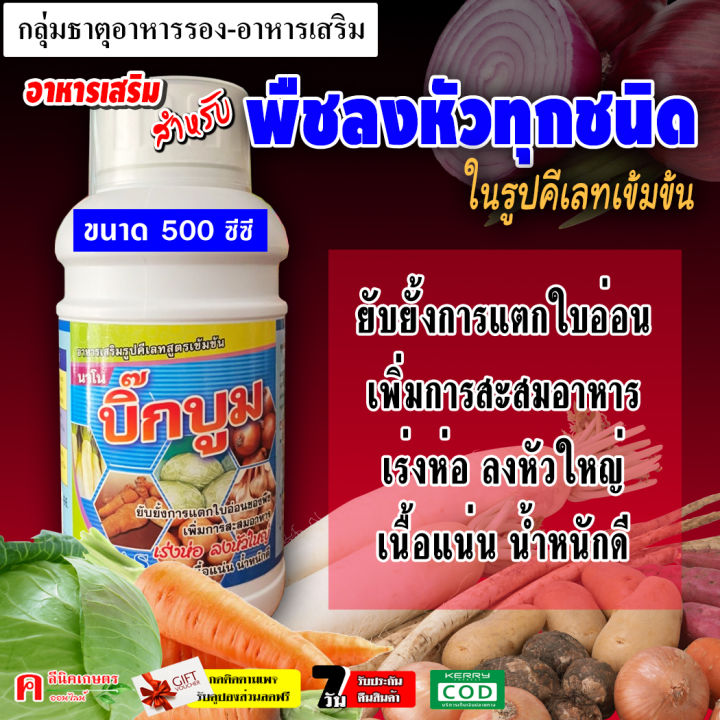 บิ๊กบูม ฮอร์โมนพืชเร่งลงหัวใหญ่ เนื้อแน่น