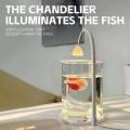 Mini Fish Tank Transparent Aquarium Bowl Small Desktop Decor Betta Night Light Landscape Ornament Akuarium Hiasan. 