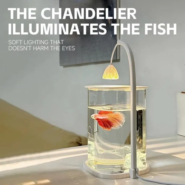 Mini%20Fish%20Tank%20Transparent%20Aquarium%20Bowl%20Small%20Desktop%20Decor%20Betta%20Night%20Light%20Landscape%20Ornament%20Akuarium%20Hiasan%20-%20Image%205