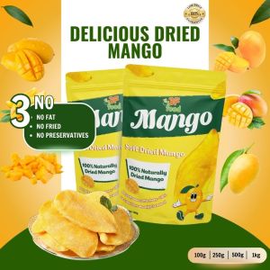 3F FOOD DELICIOUS DRIED MANGO Sugar Free High Quality From Viet Nam 100gr/250gr/500gr/1kg