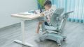 Ghế Công Thái Học Chống Gù Trẻ Em BioKids. 