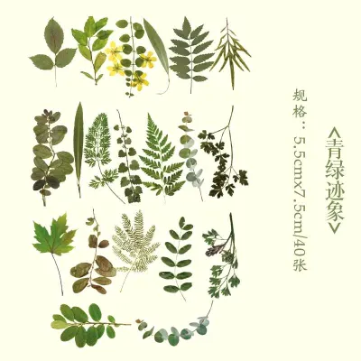 40 Pcs Vintage Flowers Plants Stickers DIY Decoration PET Scrapbook Stickers For Planners Scrapbooking Laptops
