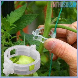 【Enthusiasm】🌟🌟【Hot Sale】🎈 HONG 50Pcs Trellis คลิปมะเขือเทศรองรับเชื่อมต่อพืชผักตัวยึด
