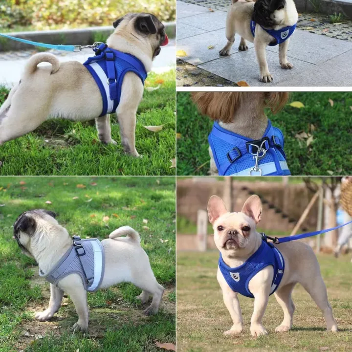 Adjustable%20Breathable%20Vest%20Style%20Pet%20Harness%20and%20Leash%20Set%20Comfort%20Wearable%20Outdoor%20Walking%20Traction%20Kit%20Flexible%20Size%20Fits%20Puppy%20Dog%20Cat%20Safe%20Sturdy%20Daily%20Outdoor%20Travel%20Walking%20Training%20Accessories%20-%20Image%209