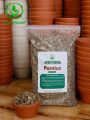 Túi 1Kg - Đá Bọt (Pumice Stone), Đá Pumice để trồng cây chất lượng cao | Độc quyền Family Garden. 