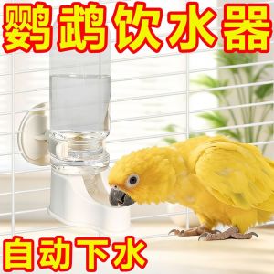 Pet Feeding Bowl for Birds for Home Care and Daily Use Suitable for Storage Cleaning or Routine Setup for Indoor Outdoor and Travel Use Easy to Compare by Size pet bowl bowl