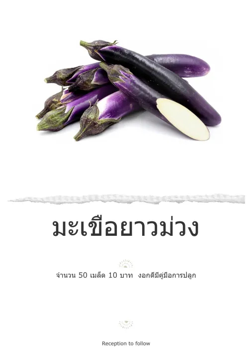 เมล็ดพันธุ์ผัก มะเขือยาวม่วง พันธุ์พื้นบ้าน งอกดี