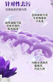 SUKGARDEN(1Kg)Betty Blue Lavender Essential Oil Fragrance Laundry Detergent Long-lasting. 