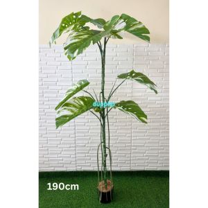 Pohon Artificial Tanaman Hias Monstera Variegata T170 & T190 Latex Pot Dasar Hitam Dekorasi Ruangan Kantor