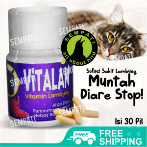 SEMPATI Vitalam Vitamin Lambung Kucing Cat Kitten Adult Anabul Obat Pencernaan Kucing Sakit Diare Muntah Lesu Radang Usus Mencret Obat Lambung Kucing Sakit Perut