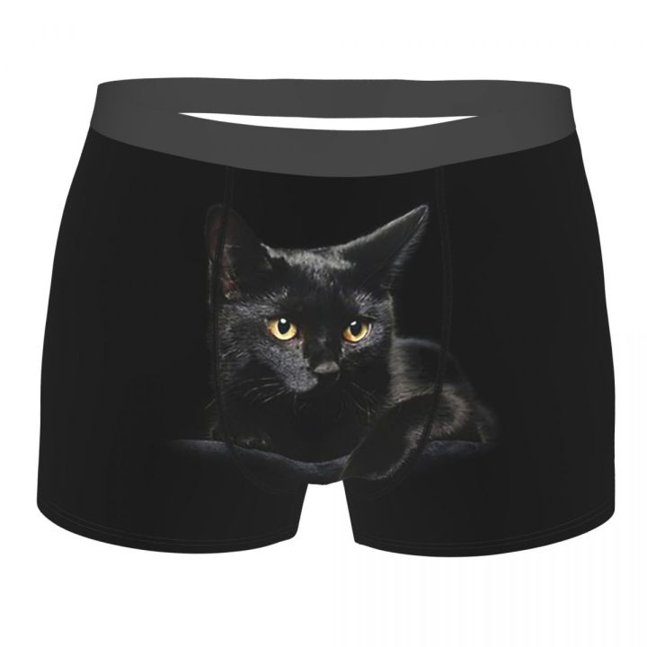 Black Cat Cat Animal Cat Lover Men's Boxer Briefs for Men Funny