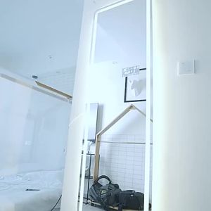 Smart LED Light Bathroom Mirror Wall Light Tricolor Light Smart Mirror Multifunction Mirror Light