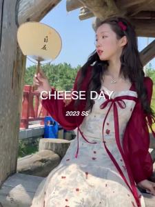 Dazzlin  plus Size Womens Clothing New Chinese Style Red Small Floral Dress Fat mm Slimming Chiffon Elegant Tied Square Collar Length Dress