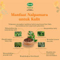 Sabun PYARY Nalpamara Arab 100% Original Herbal Soap Hijau BPOM | Sabun Mandi Sabun Wajah. 