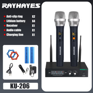 RAYHAYES Wireless Microphone UHF Dual Channel for Videoke Performance Christmas Party